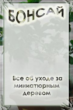 Илья Мельников - Все об уходе за миниатюрным деревом - Читать | Читать онлайн | Читаемые книги читать онлайн бесплатно | booksread-online.com