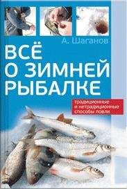 Антон Шаганов - Все о зимней рыбалке - Читать 📖 Читать онлайн 👀 Читаемые книги читать онлайн бесплатно 🔥 booksread-online.com