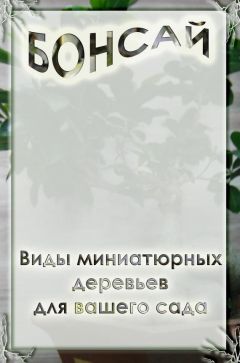 Илья Мельников - Виды миниатюрных деревьев для вашего сада - Читать | Читать онлайн | Читаемые книги читать онлайн бесплатно | booksread-online.com