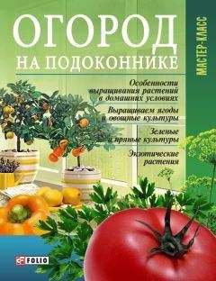 Леонид Онищенко - Огород на подоконнике - Читать 📖 Читать онлайн 👀 Читаемые книги читать онлайн бесплатно 🔥 booksread-online.com