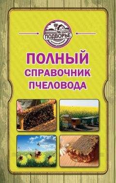 Тамара Руцкая - Полный справочник пчеловода - Читать 📖 Читать онлайн 👀 Читаемые книги читать онлайн бесплатно 🔥 booksread-online.com