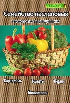 А. Панкратова - Семейство пасленовых. Технология выращивания - Читать 📖 Читать онлайн 👀 Читаемые книги читать онлайн бесплатно 🔥 booksread-online.com