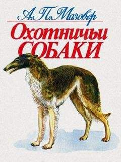 Александр Мазовер - Охотничьи собаки - Читать | Читать онлайн | Читаемые книги читать онлайн бесплатно | booksread-online.com