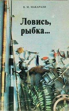 Виктор Макарали - Ловись, рыбка... - Читать 📖 Читать онлайн 👀 Читаемые книги читать онлайн бесплатно 🔥 booksread-online.com