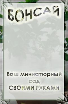 Илья Мельников - Ваш миниатюрный сад своими руками - Читать | Читать онлайн | Читаемые книги читать онлайн бесплатно | booksread-online.com