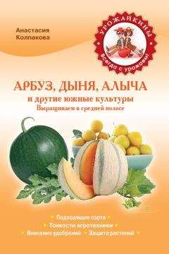 Анастасия Колпакова - Арбуз, дыня, алыча и другие южные культуры. Выращиваем в средней полосе - Читать | Читать онлайн | Читаемые книги читать онлайн бесплатно | booksread-online.com