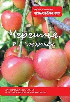 Р. Ноздрачева - Черешня. Районированные сорта. Опыт выращивания в Черноземье - Читать 📖 Читать онлайн 👀 Читаемые книги читать онлайн бесплатно 🔥 booksread-online.com