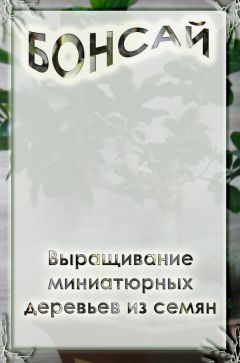 Илья Мельников - Выращивание миниатюрных деревьев из семян - Читать | Читать онлайн | Читаемые книги читать онлайн бесплатно | booksread-online.com