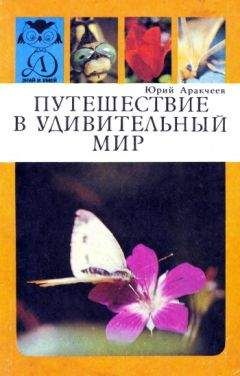 Юрий Аракчеев - Путешествие в удивительный мир - Читать | Читать онлайн | Читаемые книги читать онлайн бесплатно | booksread-online.com