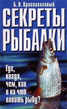 Борис Красноголовый - Секреты рыбалки - Читать 📖 Читать онлайн 👀 Читаемые книги читать онлайн бесплатно 🔥 booksread-online.com
