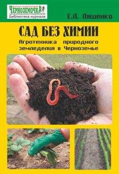 Е. Ляшенко - Сад без химии. Агротехника природного земледелия в Черноземье - Читать | Читать онлайн | Читаемые книги читать онлайн бесплатно | booksread-online.com