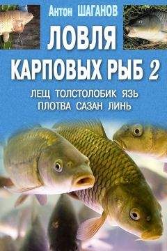 Антон Шаганов - Ловля карповых рыб – 2 - Читать 📖 Читать онлайн 👀 Читаемые книги читать онлайн бесплатно 🔥 booksread-online.com