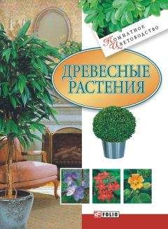 Мария Згурская - Древесные растения - Читать 📖 Читать онлайн 👀 Читаемые книги читать онлайн бесплатно 🔥 booksread-online.com