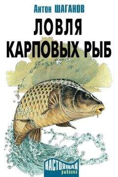 Антон Шаганов - Ловля карповых рыб - Читать 📖 Читать онлайн 👀 Читаемые книги читать онлайн бесплатно 🔥 booksread-online.com