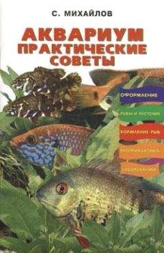 Валентин Михайлов - Аквариум. Практические советы - Читать 📖 Читать онлайн 👀 Читаемые книги читать онлайн бесплатно 🔥 booksread-online.com