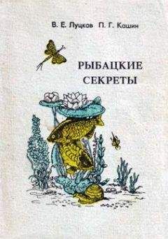 В. Луцков - Рыбацкие секреты - Читать | Читать онлайн | Читаемые книги читать онлайн бесплатно | booksread-online.com