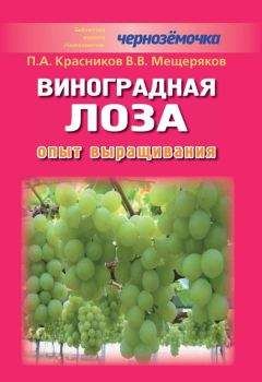 Петр Красников - Виноградная лоза. Опыт выращивания - Читать | Читать онлайн | Читаемые книги читать онлайн бесплатно | booksread-online.com