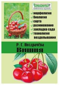 Р. Ноздрачева - Вишня - Читать 📖 Читать онлайн 👀 Читаемые книги читать онлайн бесплатно 🔥 booksread-online.com