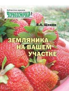 Владимир Щекин - Земляника на вашем участке - Читать | Читать онлайн | Читаемые книги читать онлайн бесплатно | booksread-online.com