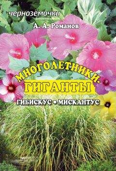 А. Романов - Многолентики-гиганты: Гибискус. Мискантус - Читать 📖 Читать онлайн 👀 Читаемые книги читать онлайн бесплатно 🔥 booksread-online.com