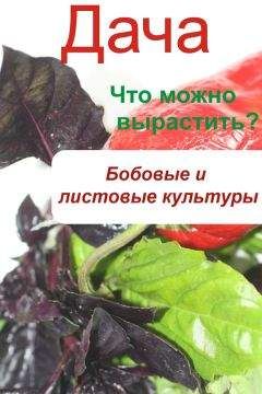 Илья Мельников - Что можно вырастить? Огород. Бобовые и листовые культуры - Читать | Читать онлайн | Читаемые книги читать онлайн бесплатно | booksread-online.com