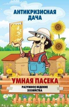 Сергей Кашин - Умная пасека. Разумное ведение хозяйства - Читать 📖 Читать онлайн 👀 Читаемые книги читать онлайн бесплатно 🔥 booksread-online.com