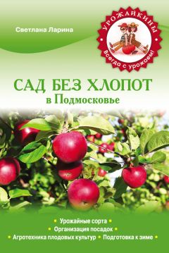 Светлана Ларина - Сад без хлопот в Подмосковье - Читать 📖 Читать онлайн 👀 Читаемые книги читать онлайн бесплатно 🔥 booksread-online.com