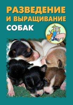 Александр Ханников - Разведение и выращивание собак - Читать 📖 Читать онлайн 👀 Читаемые книги читать онлайн бесплатно 🔥 booksread-online.com
