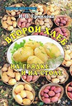 Ирина Ермилова - Второй хлеб на грядке и на столе - Читать 📖 Читать онлайн 👀 Читаемые книги читать онлайн бесплатно 🔥 booksread-online.com