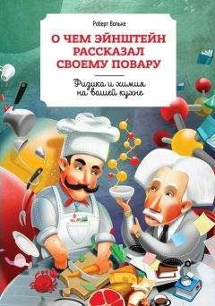 Роберт Вольке - О чем Эйнштейн рассказал своему повару - Читать 📖 Читать онлайн 👀 Читаемые книги читать онлайн бесплатно 🔥 booksread-online.com