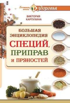 Виктория Карпухина - Большая энциклопедия специй, приправ и пряностей - Читать 📖 Читать онлайн 👀 Читаемые книги читать онлайн бесплатно 🔥 booksread-online.com