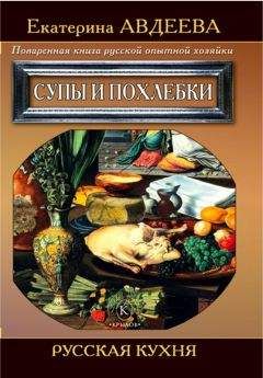 Екатерина Авдеева - Поваренная книга русской опытной хозяйки. Супы и похлебки - Читать 📖 Читать онлайн 👀 Читаемые книги читать онлайн бесплатно 🔥 booksread-online.com
