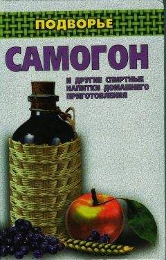 Ирина Байдакова - Самогон и другие спиртные напитки домашнего приготовления - Читать 📖 Читать онлайн 👀 Читаемые книги читать онлайн бесплатно 🔥 booksread-online.com