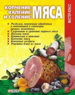 Владимир Онищенко - Копчение, вяление и соление мяса - Читать 📖 Читать онлайн 👀 Читаемые книги читать онлайн бесплатно 🔥 booksread-online.com