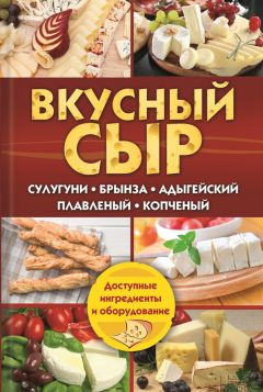 Светлана Семенова - Вкусный сыр. Сулугуни, брынза, адыгейский, плавленый, копченый - Читать 📖 Читать онлайн 👀 Читаемые книги читать онлайн бесплатно 🔥 booksread-online.com