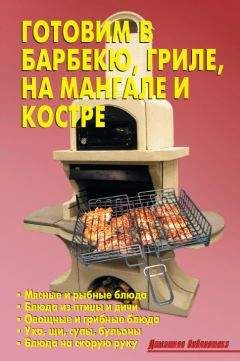 Р. Кожемякин - Готовим в барбекю, гриле, на мангале и костре - Читать 📖 Читать онлайн 👀 Читаемые книги читать онлайн бесплатно 🔥 booksread-online.com