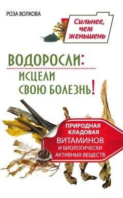 Роза Волкова - Водоросли: исцели свою болезнь! Природная кладовая витаминов и биологически активных веществ - Читать 📖 Читать онлайн 👀 Читаемые книги читать онлайн бесплатно 🔥 booksread-online.com