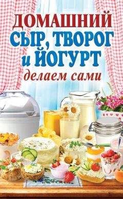 Анна Антонова - Домашний сыр, творог и йогурт делаем сами - Читать 📖 Читать онлайн 👀 Читаемые книги читать онлайн бесплатно 🔥 booksread-online.com