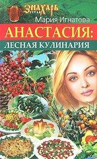 Мария Игнатова - Анастасия. Лесная кулинария - Читать 📖 Читать онлайн 👀 Читаемые книги читать онлайн бесплатно 🔥 booksread-online.com