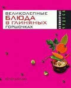 Ольга Трюхан - Великолепные блюда в глиняных горшочках - Читать 📖 Читать онлайн 👀 Читаемые книги читать онлайн бесплатно 🔥 booksread-online.com