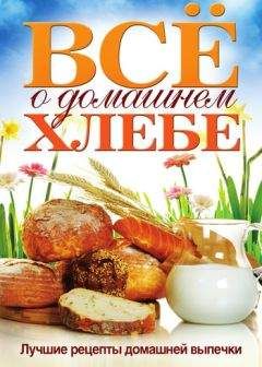 Ольга Бабкова - Всё о домашнем хлебе. Лучшие рецепты домашней выпечки - Читать 📖 Читать онлайн 👀 Читаемые книги читать онлайн бесплатно 🔥 booksread-online.com