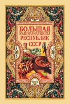 Дарья Нестерова - Большая кулинарная книга республик СССР - Читать 📖 Читать онлайн 👀 Читаемые книги читать онлайн бесплатно 🔥 booksread-online.com