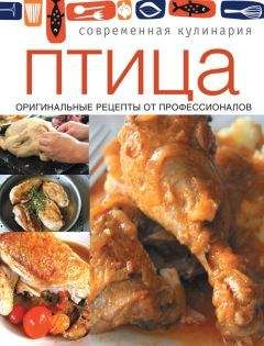 Сборник рецептов - Птица. Оригинальные рецепты от профессионалов - Читать 📖 Читать онлайн 👀 Читаемые книги читать онлайн бесплатно 🔥 booksread-online.com