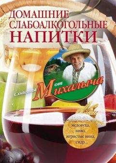 Николай Звонарев - Домашние слабоалкогольные напитки. Медовуха, пиво, игристые вина, сидр… - Читать | Читать онлайн | Читаемые книги читать онлайн бесплатно | booksread-online.com