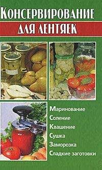 Алина Калинина - Консервирование для лентяек - Читать 📖 Читать онлайн 👀 Читаемые книги читать онлайн бесплатно 🔥 booksread-online.com
