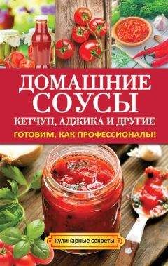 Елена Доброва - Домашние соусы. Кетчуп, аджика и другие - Читать 📖 Читать онлайн 👀 Читаемые книги читать онлайн бесплатно 🔥 booksread-online.com