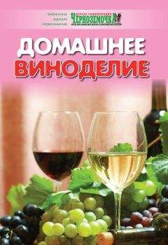 А. Панкратова - Домашнее виноделие - Читать 📖 Читать онлайн 👀 Читаемые книги читать онлайн бесплатно 🔥 booksread-online.com