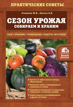 Алексей Хватов - Сезон урожая. Собираем и храним - Читать 📖 Читать онлайн 👀 Читаемые книги читать онлайн бесплатно 🔥 booksread-online.com