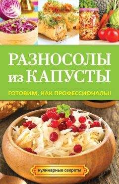 Анастасия Кривцова - Разносолы из капусты. Готовим, как профессионалы! - Читать | Читать онлайн | Читаемые книги читать онлайн бесплатно | booksread-online.com