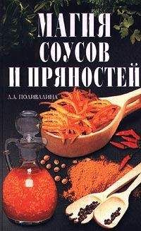 Светлана Колосова - Магия соусов и пряностей - Читать 📖 Читать онлайн 👀 Читаемые книги читать онлайн бесплатно 🔥 booksread-online.com